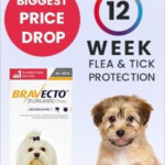 Bravecto Rebate In 2020 Dogs Online Flea And Tick Tick Prevention