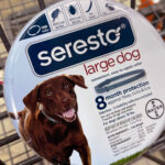 Seresto Flea Collar Recall 2022 Lawmakers Exercise Caution After